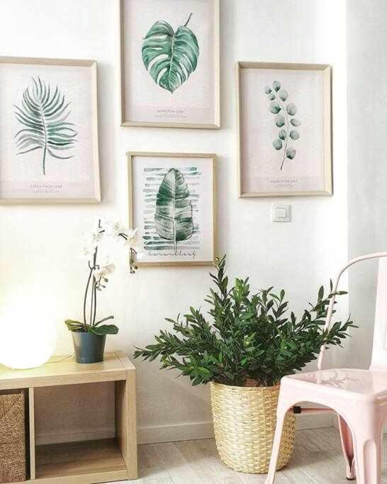Luxury Flat In Santa Cruz Apartment Ngoại thất bức ảnh